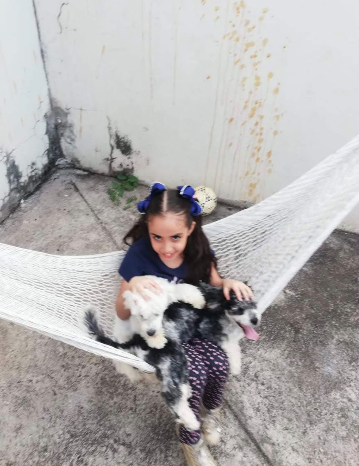 Elsa de niña con perritos en una hamaca